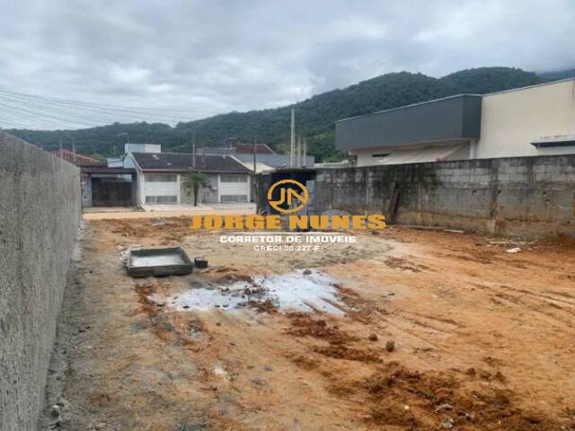 #1342 - Terreno para Venda em Caraguatatuba - SP - 3